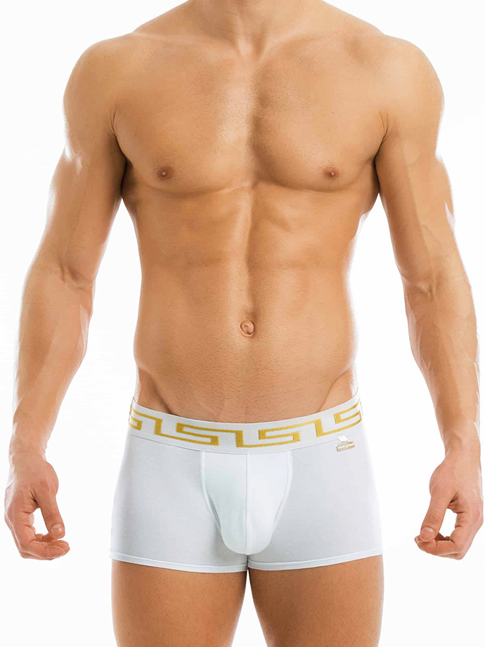 https://www.poppers.be/shop/images/product_images/popup_images/11621-modus-vivendi-meander-boxer-white__1.jpg