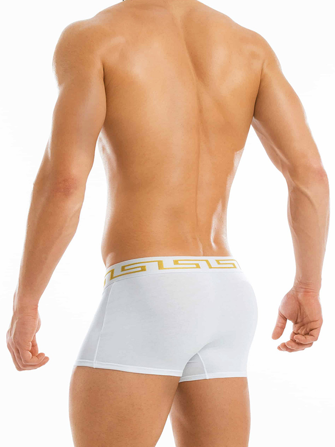 https://www.poppers.be/shop/images/product_images/popup_images/11621-modus-vivendi-meander-boxer-white__3.jpg