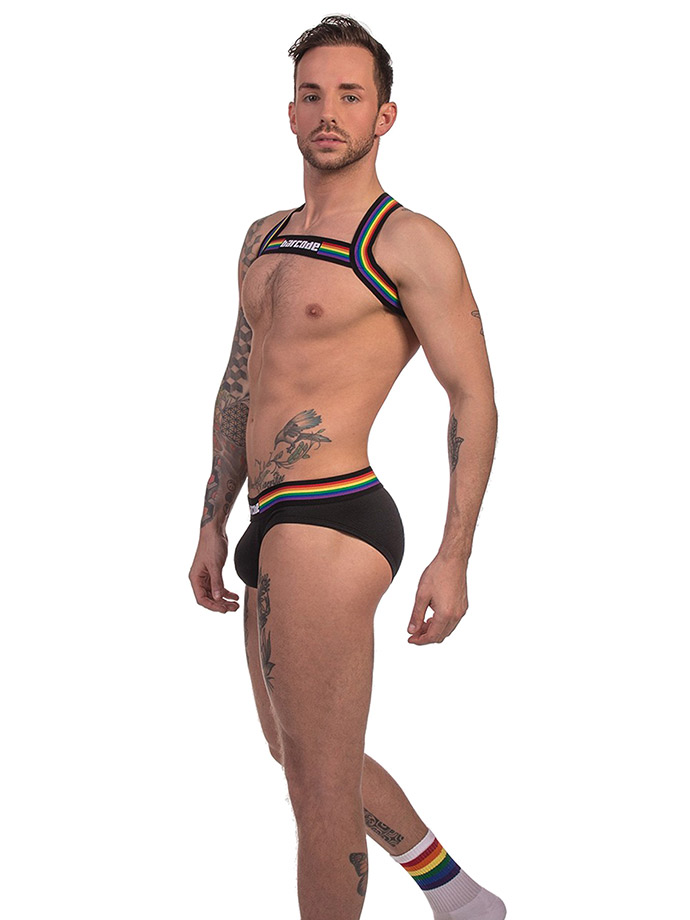 https://www.poppers.be/shop/images/product_images/popup_images/91745-harness-black-pride-barcode-berlin__1.jpg
