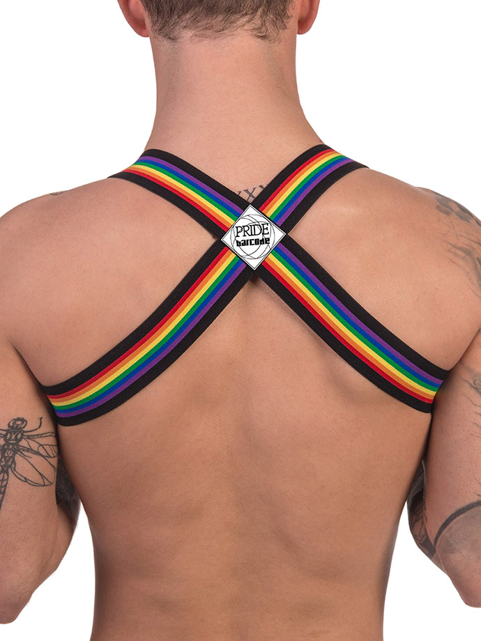 https://www.poppers.be/shop/images/product_images/popup_images/91745-harness-black-pride-barcode-berlin__3.jpg