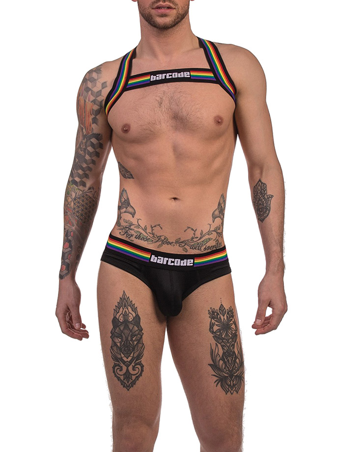 https://www.poppers.be/shop/images/product_images/popup_images/91745-harness-black-pride-barcode-berlin__4.jpg