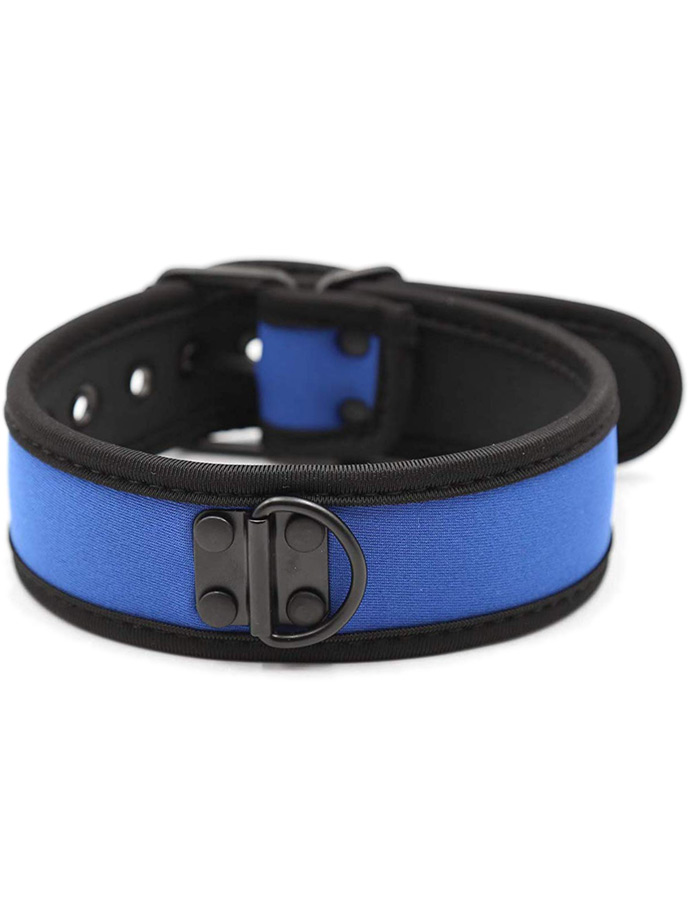 https://www.poppers.be/shop/images/product_images/popup_images/collar-neopren-pupplay-puppy-choker-costume-blue__1.jpg