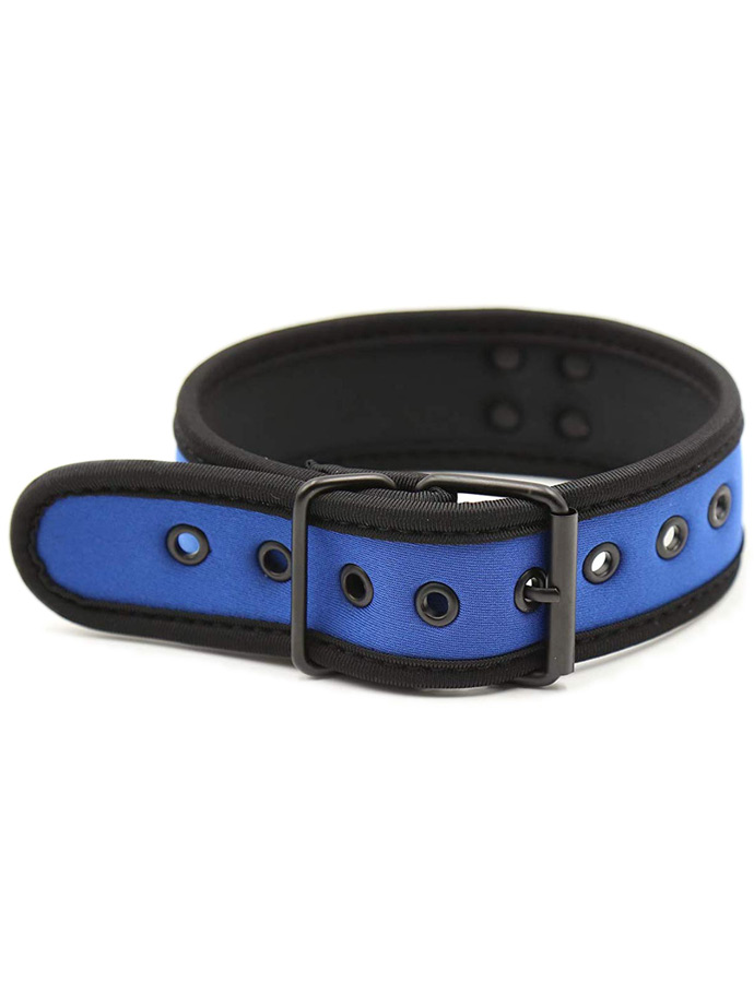 https://www.poppers.be/shop/images/product_images/popup_images/collar-neopren-pupplay-puppy-choker-costume-blue__2.jpg
