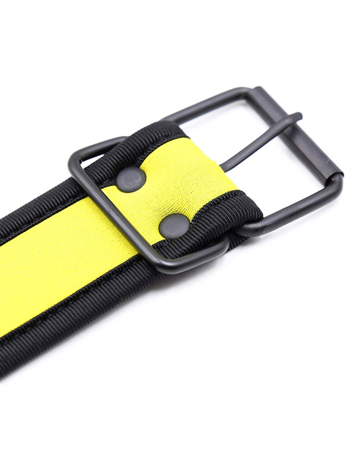 https://www.poppers.be/shop/images/product_images/popup_images/collar-neopren-pupplay-puppy-choker-costume-yellow__5.jpg