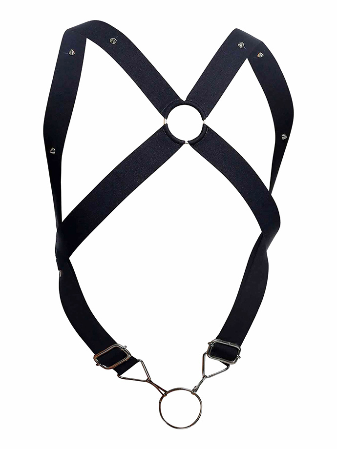 https://www.poppers.be/shop/images/product_images/popup_images/malebasics-dngeon-crossback-harness__3.jpg