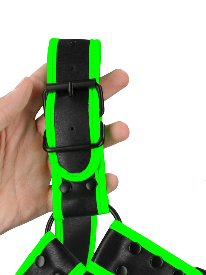 https://www.poppers.be/shop/images/product_images/popup_images/ouch-buckle-bulldog-harness-glow-in-the-dark__3.jpg