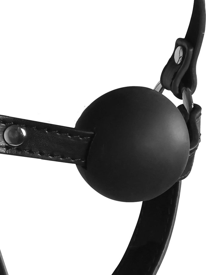 https://www.poppers.be/shop/images/product_images/popup_images/ouch-xtreme-blindfolded-head-harness-ball-gag__4.jpg