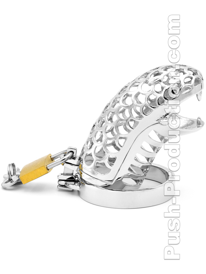 https://www.poppers.be/shop/images/product_images/popup_images/penis-cage-snake-chastity-edelstahl-peniskaefig-keuschheit__2.jpg