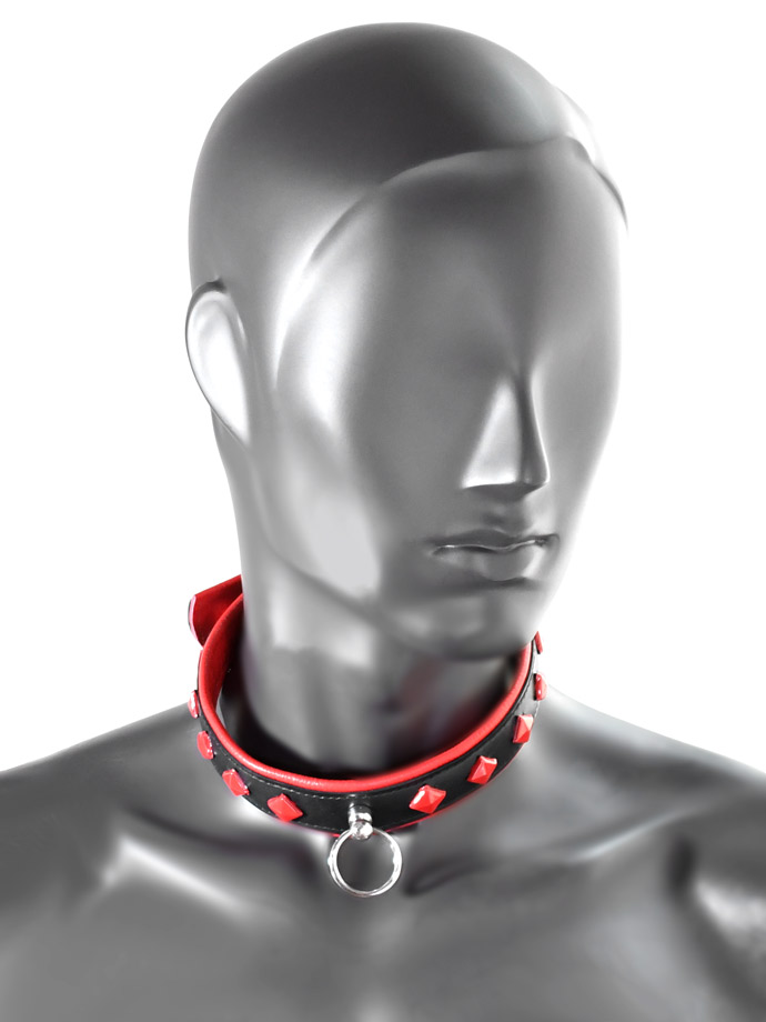 https://www.poppers.be/shop/images/product_images/popup_images/tci-9768-collar-back-red__1.jpg